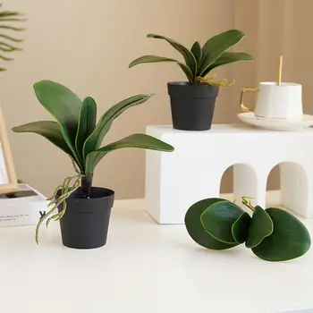 Atractiv Plante Artificiale Real Atinge Decorative Eco-friendly Artificiale Phalaenopsis Frunze Decor Nunta